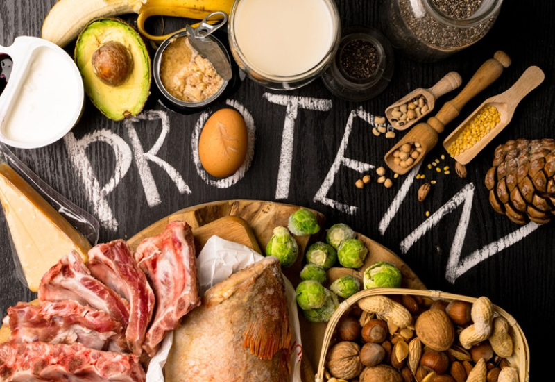Protein động vật thì hoàn chỉnh còn protein thực vật thì không